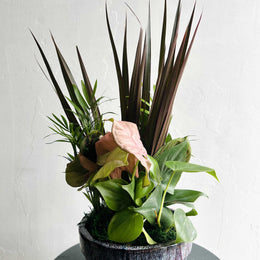 Small Dish Garden floral arrangement