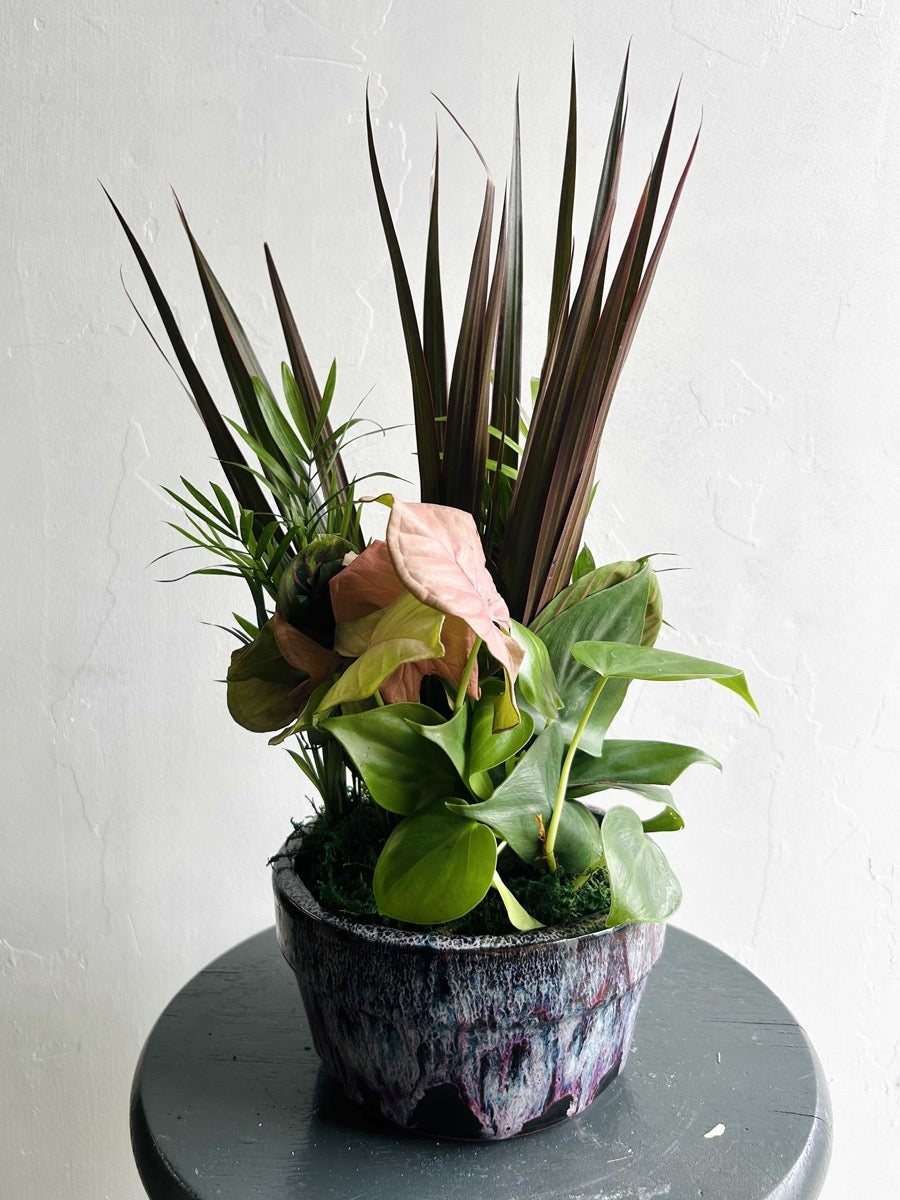Plants